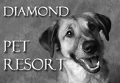 Diamond Pet Resort